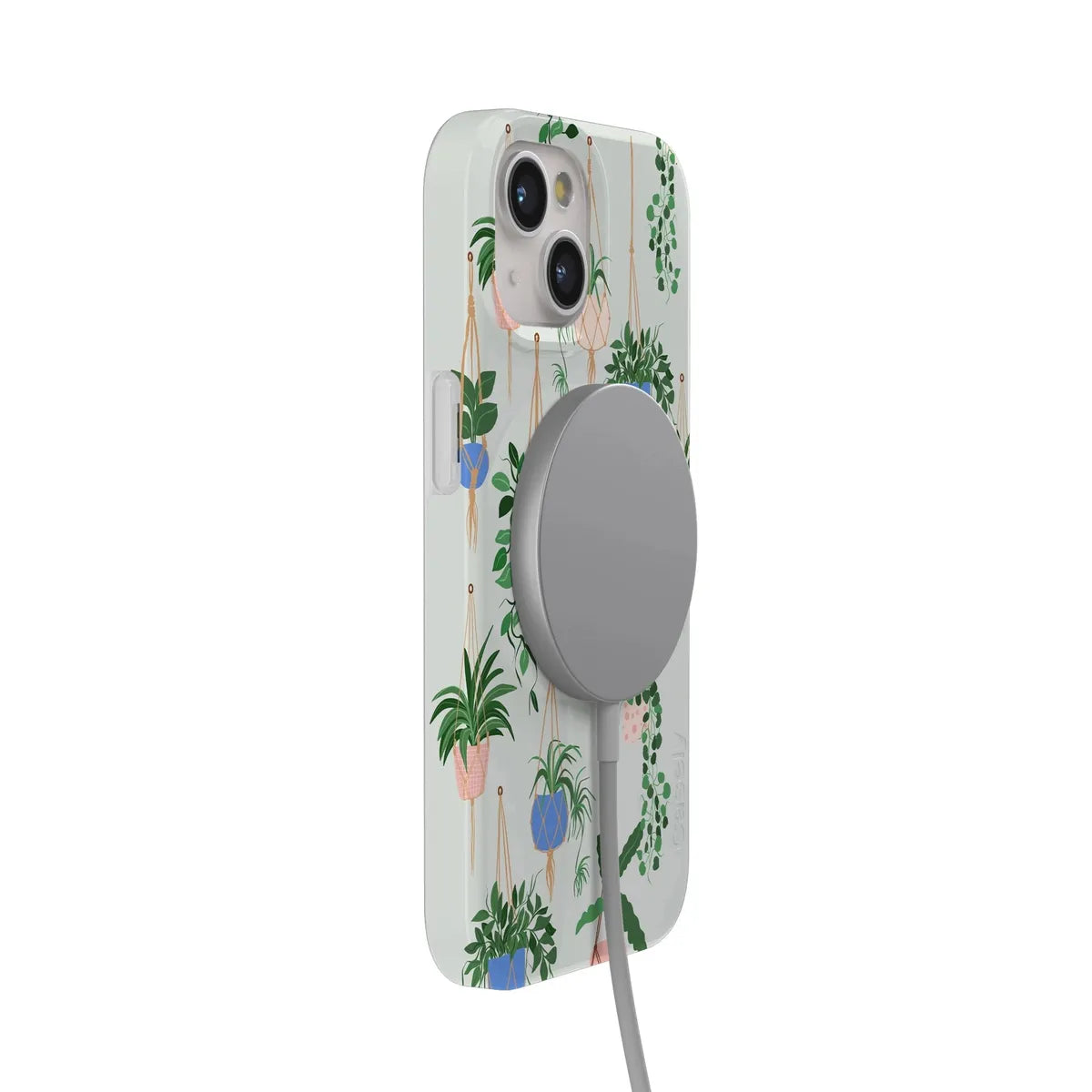 Hanging Around | Potted Plants Floral Case
