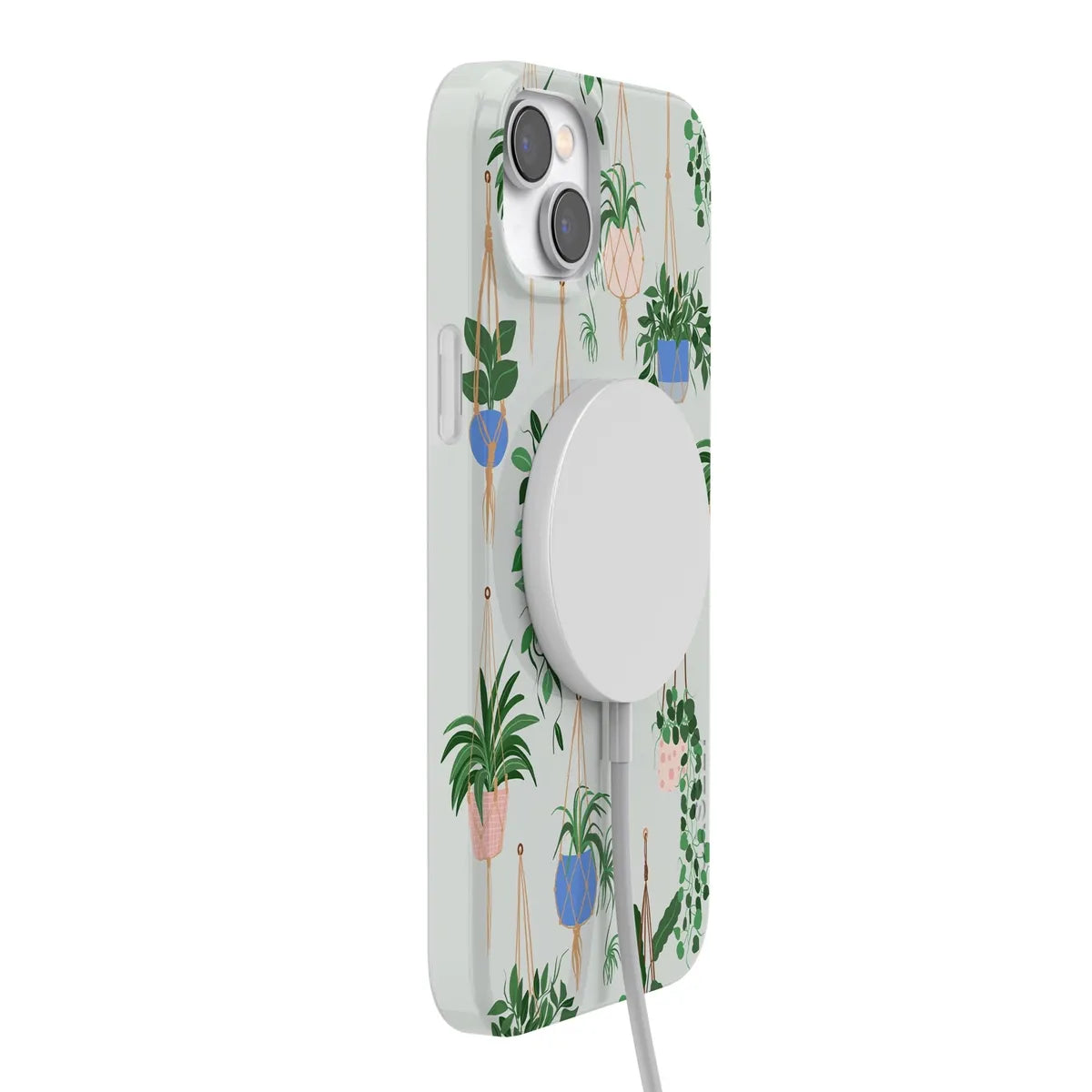 Hanging Around | Potted Plants Floral Case