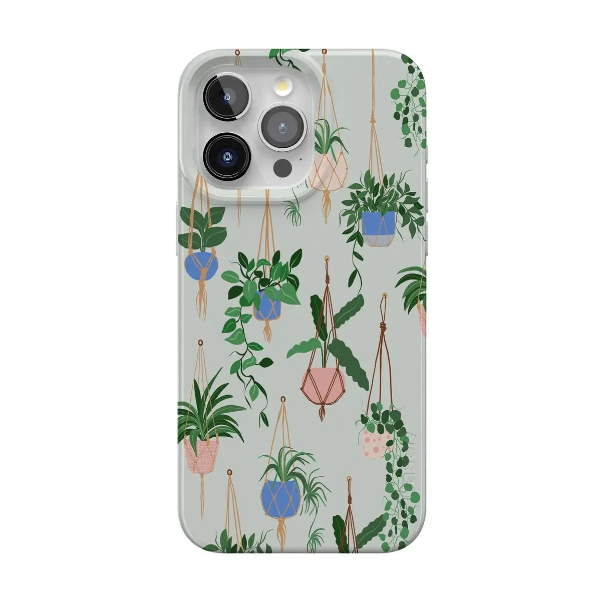 Hanging Around | Potted Plants Floral Case
